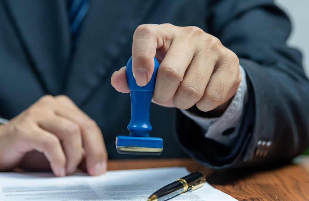 End-to-End Visa Representation